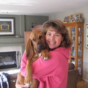 Meet your Posher, Donna